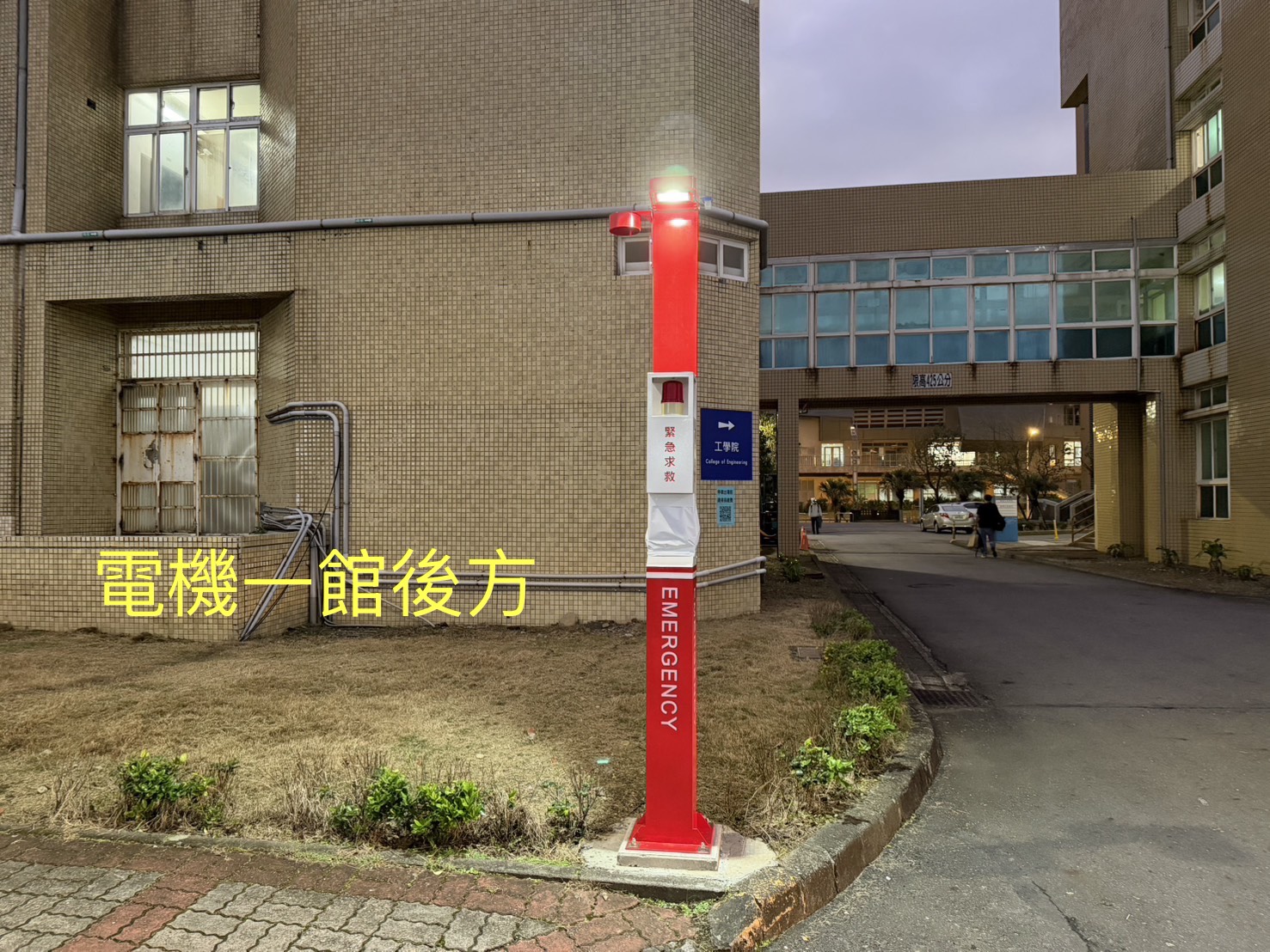 電機一館後方