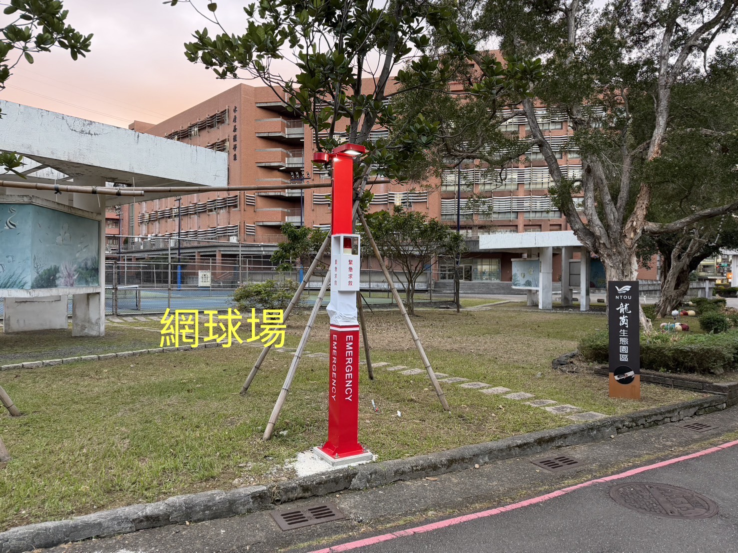 網球場
