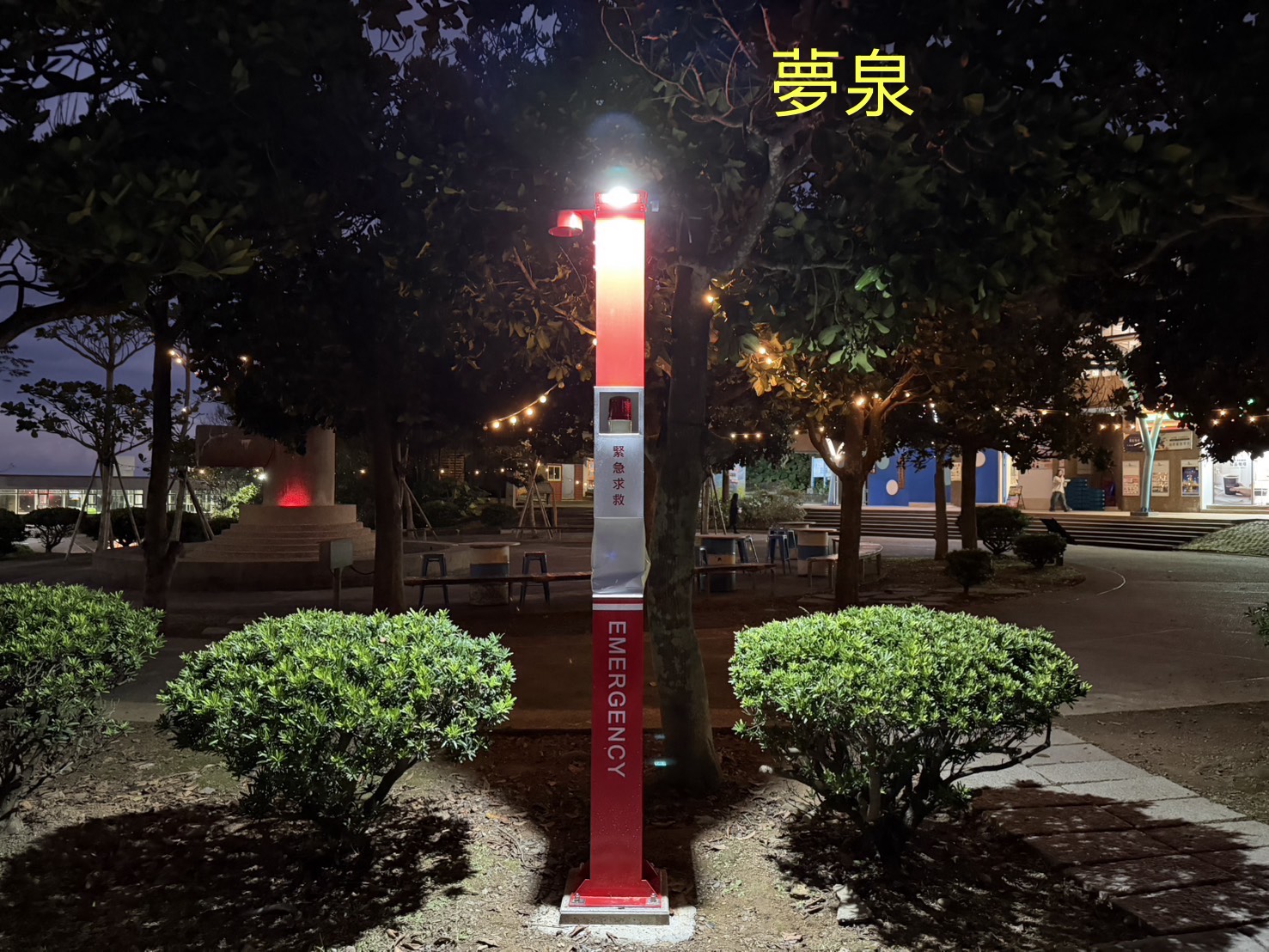 夢泉